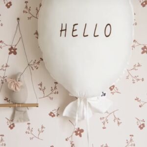 Ballon – Hello