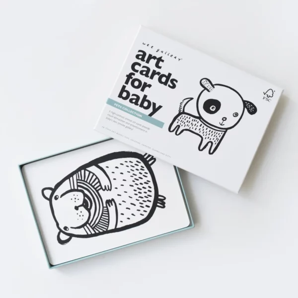 Cartes De Contraste Noir Et Blanc Pour Bébé – Lot De 10 Cartes Doubles, Stimulation Visuelle Nouveau-né