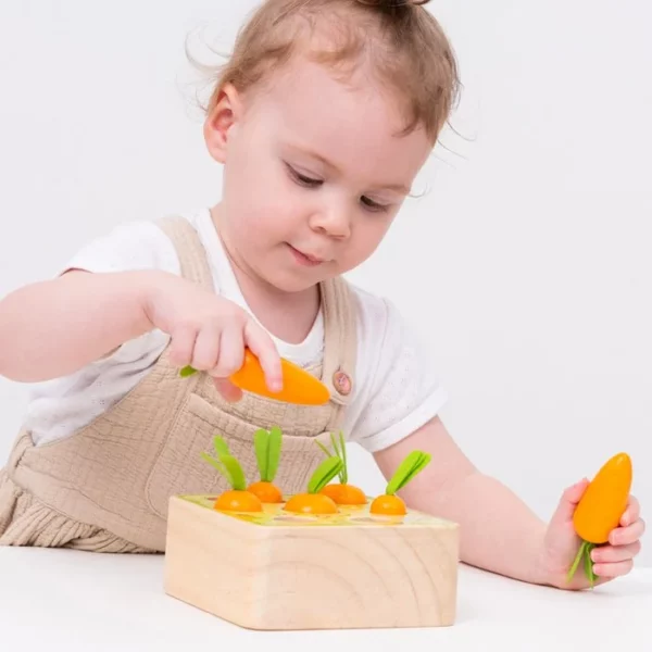 Jeu de cueillettes de carottes en bois