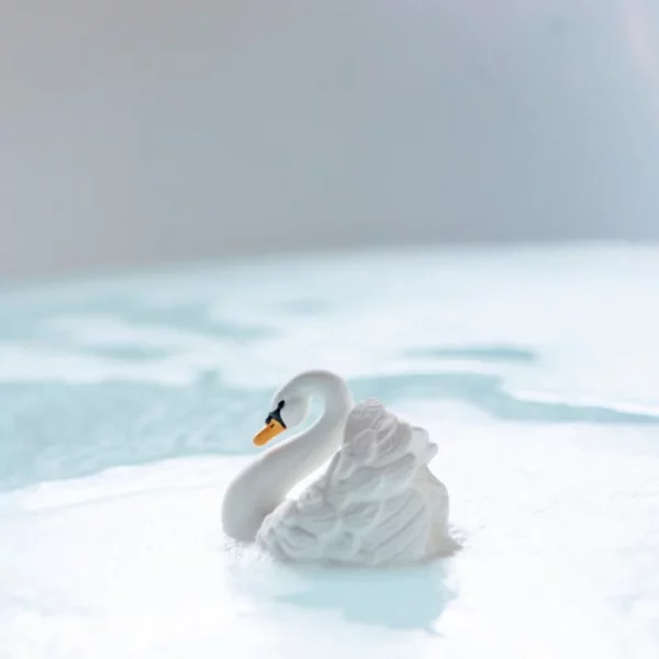 Cygne sensoriel pour le bain handmade