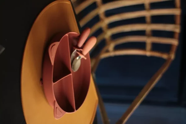 Assiette compartimentée en silicone avec ventouse l Naé l Chataigne – Image 5
