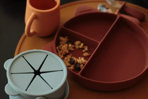 Assiette compartimentée en silicone avec ventouse l Naé l Chataigne