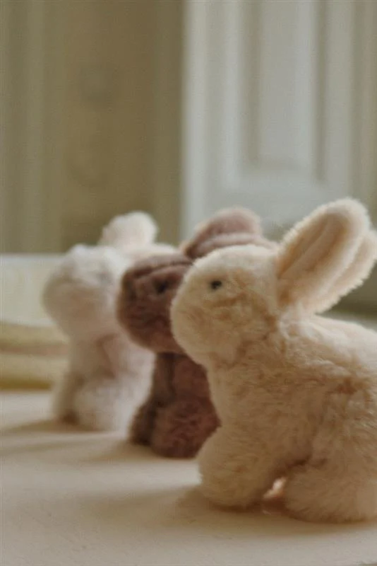 Bébés lapins triplets dans leur panier en coton biologique – Image 3