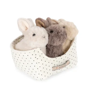 Bébés lapins triplets dans leur panier en coton biologique