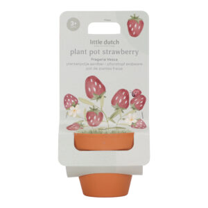 Kit de plantation l Fraises