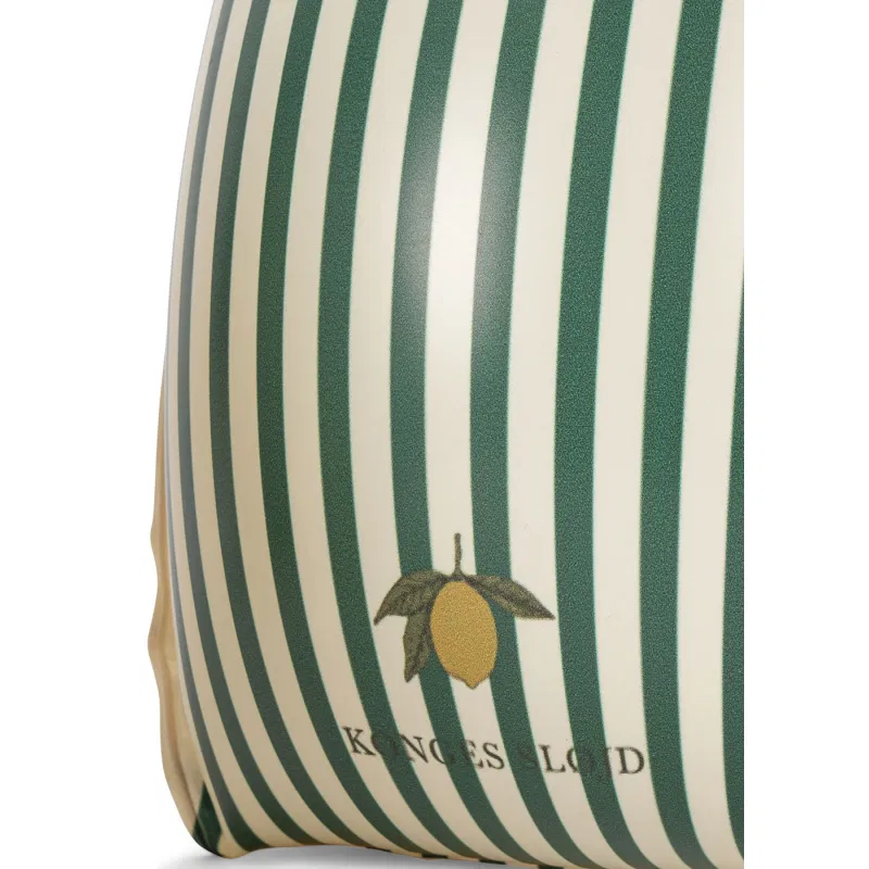 Brassards de Nage l Green stripe