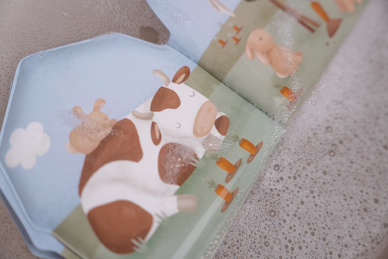 Livre de bain l Little farm